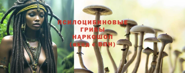 герыч Бородино